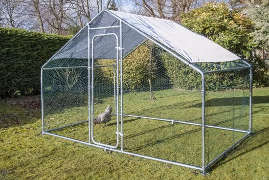 대형 금속 닭장 암탉 실행 집 산책